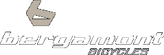 logo_bergamont-bicycles-hamburg.gif